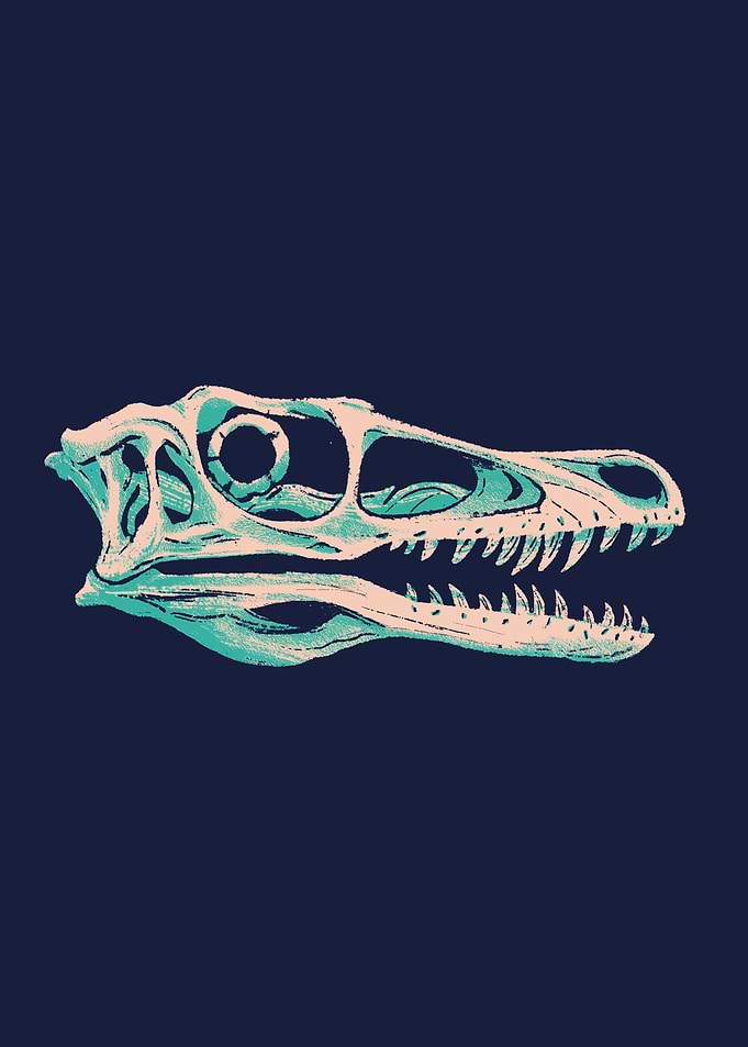 Neon Dinosaur skull fossil of Velociraptor