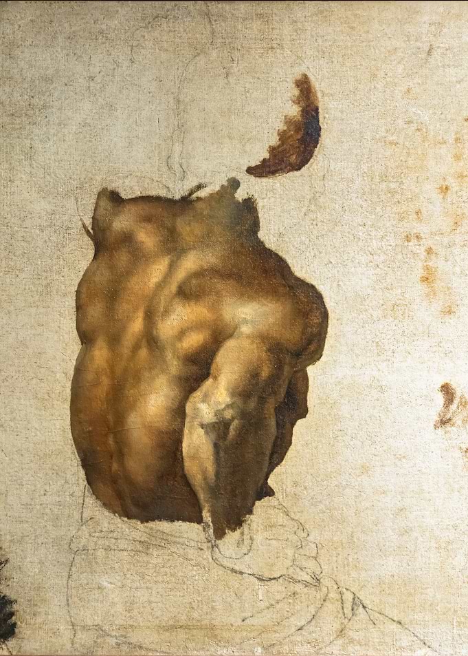 Male Figure Study