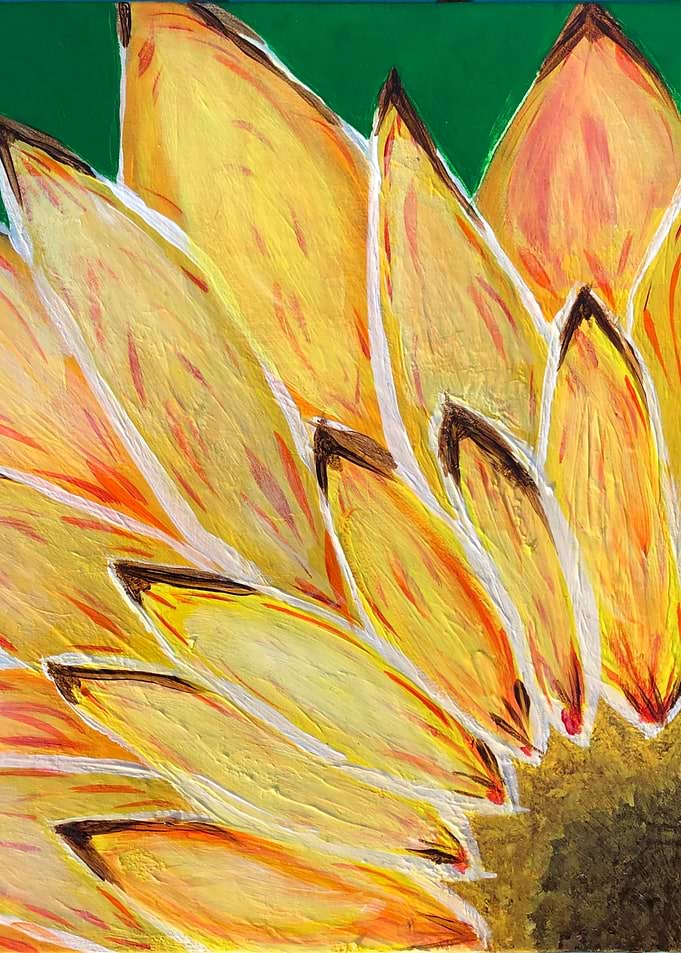 Sunflower Close-Up