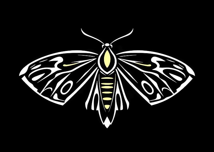 Moth Illustration