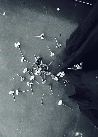 Black and White Flowers