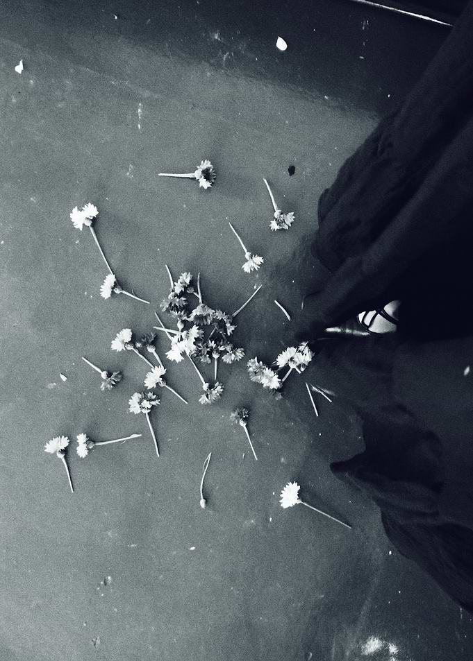 Black and White Flowers
