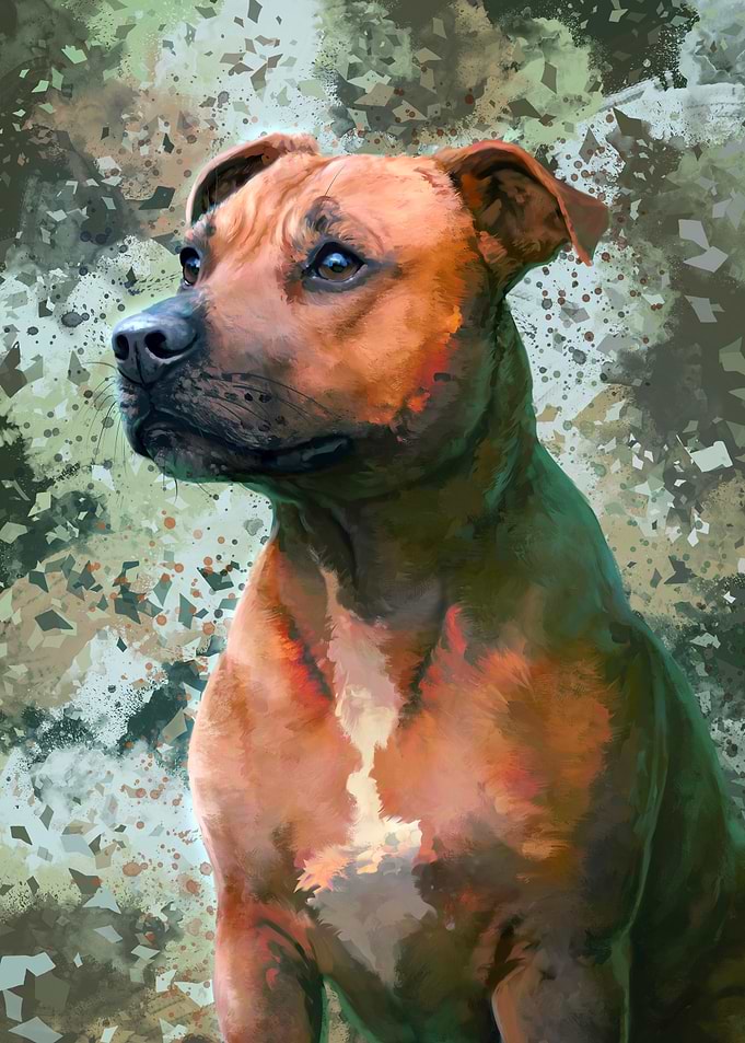 Pit Bull Portrait