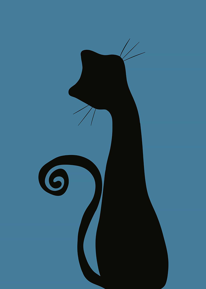 Black Cat Silhouette