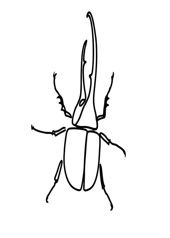 Beetle Line Art