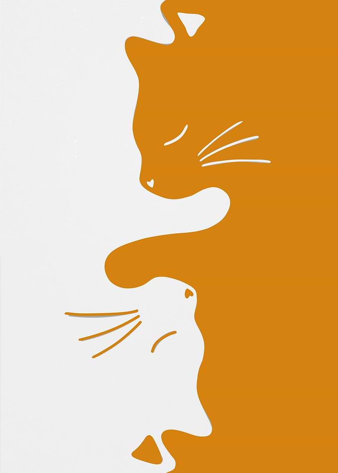 Orange and White Cat Silhouettes