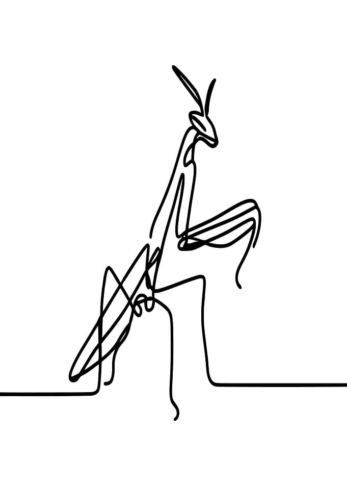 Praying Mantis Line Art
