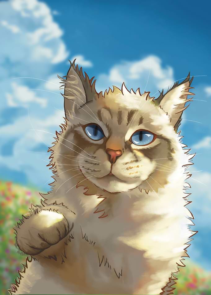 Bubu