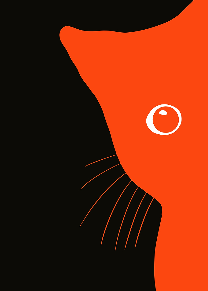 Orange Cat Silhouette