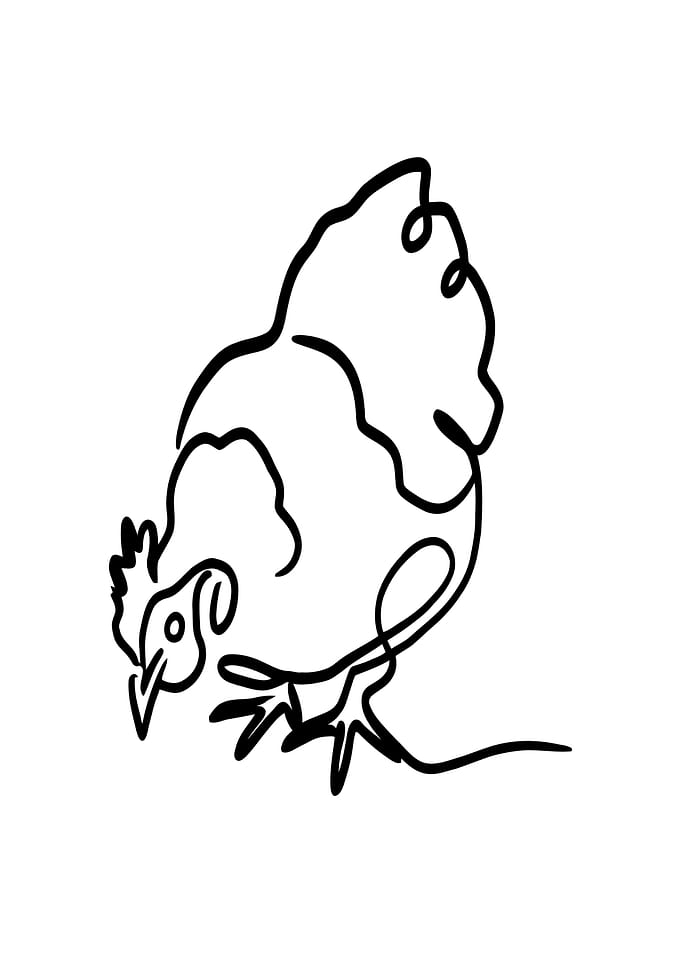 Chicken Line Art