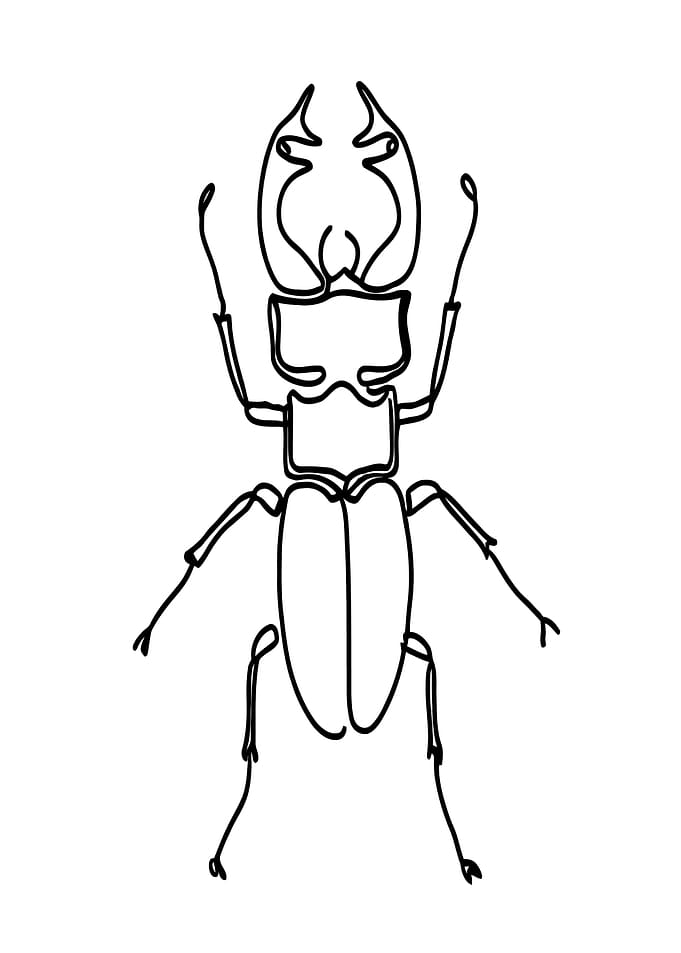Stag Beetle Line Art