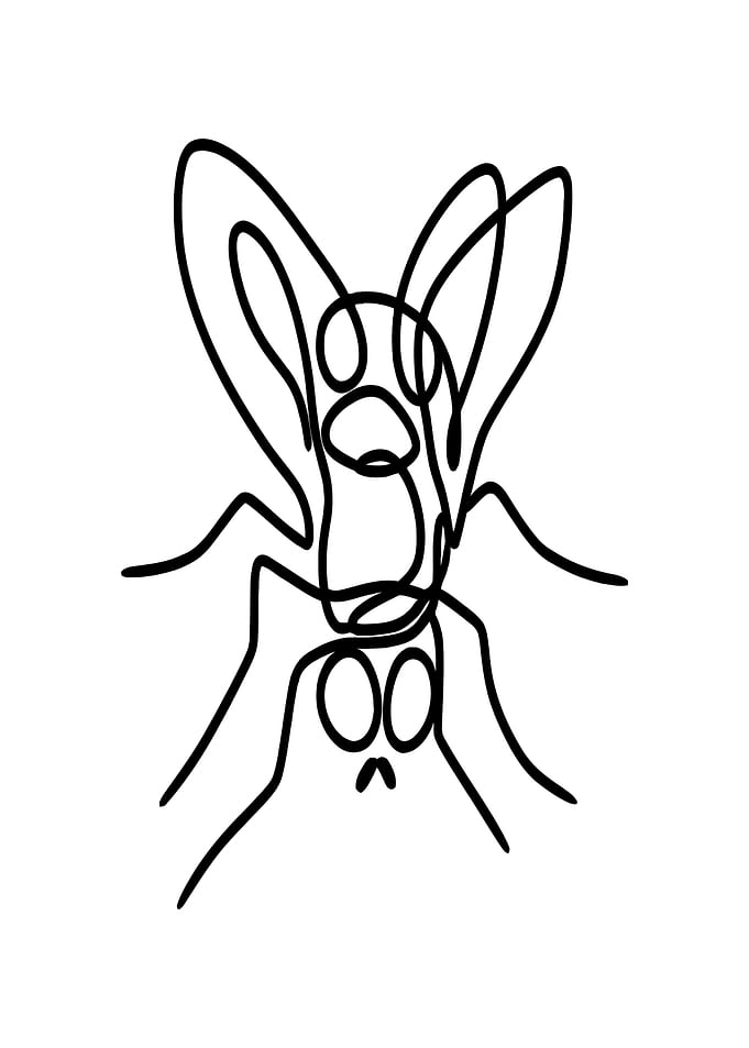 One Line Fly Drawing