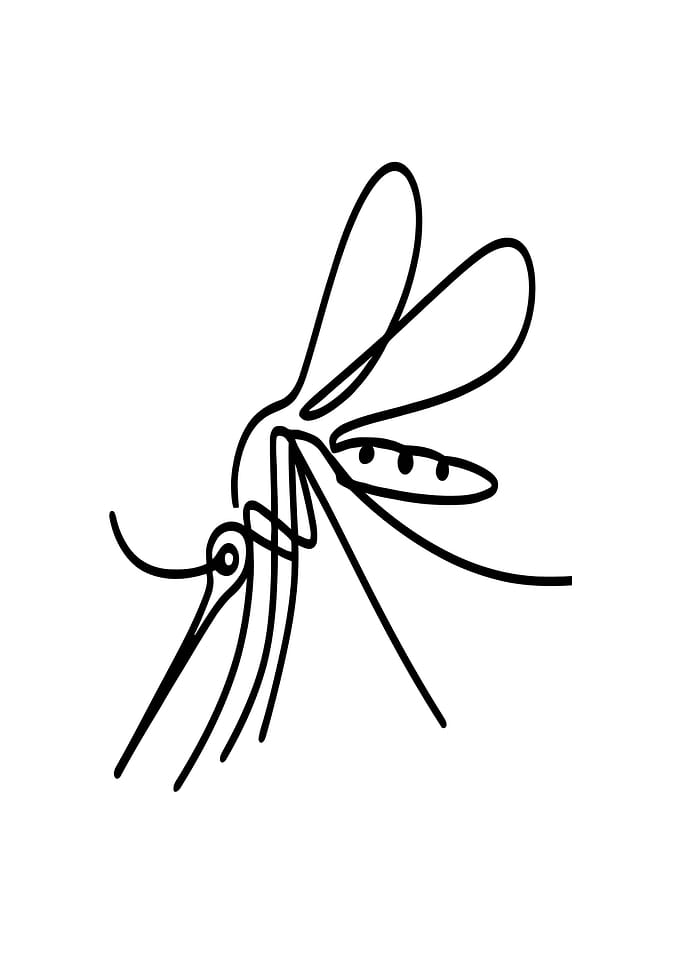 Mosquito Line Art