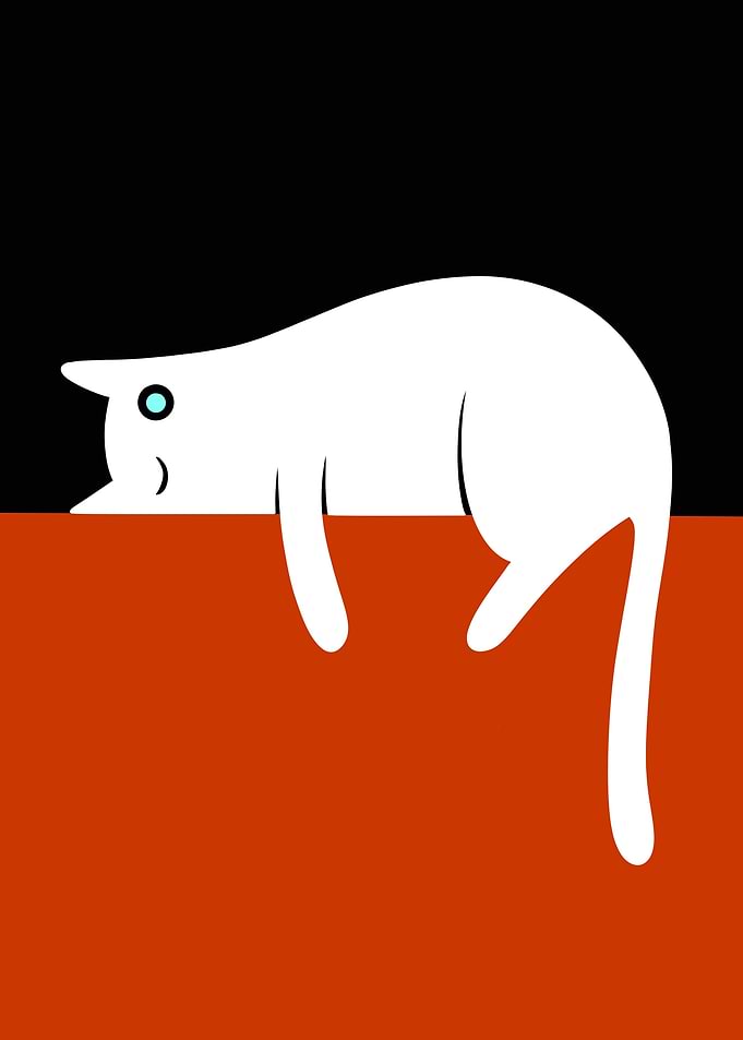 White Cat on Red