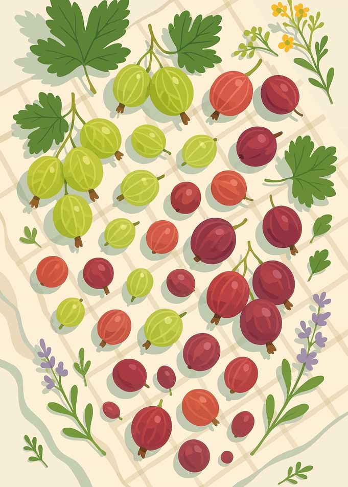 Gooseberry – A Stylized Tablescape