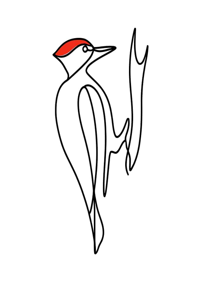 Woodpecker Line Art