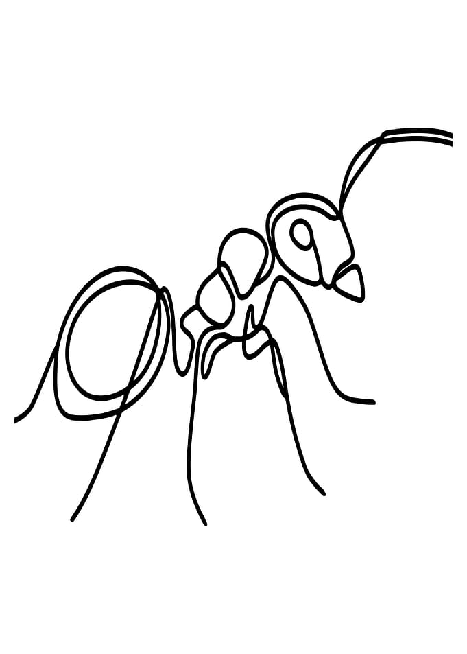 One Line Ant Art