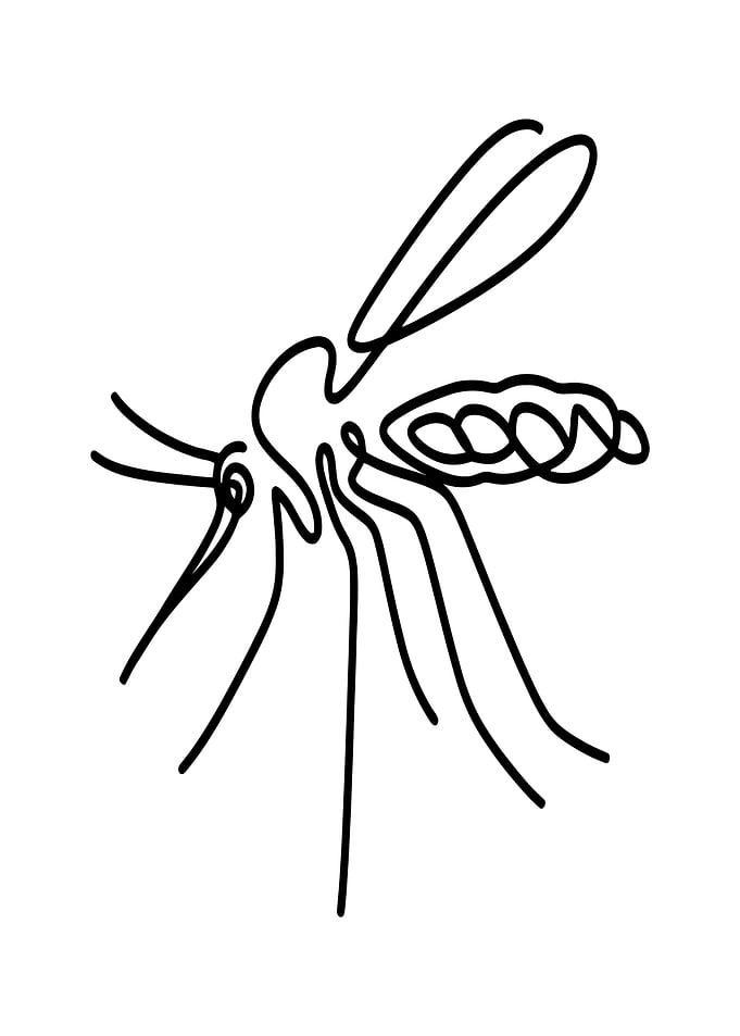Mosquito Line Art