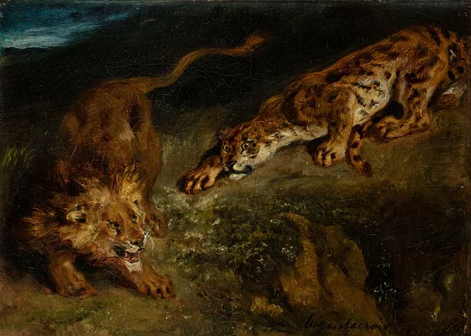 Lion and Leopard Encounter