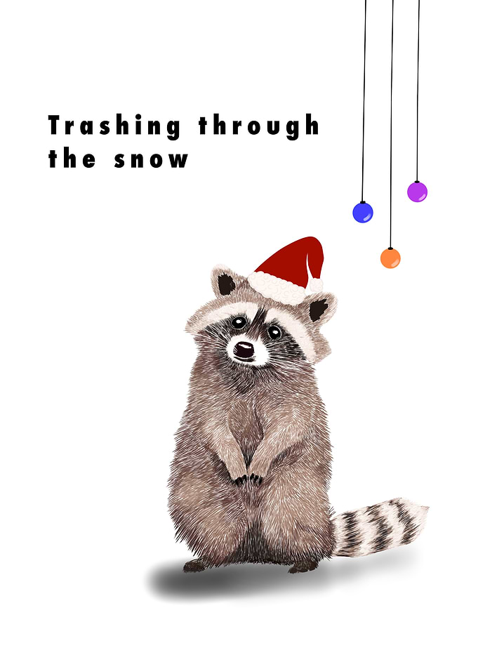 Fluffy raccoon in Santa Hat
