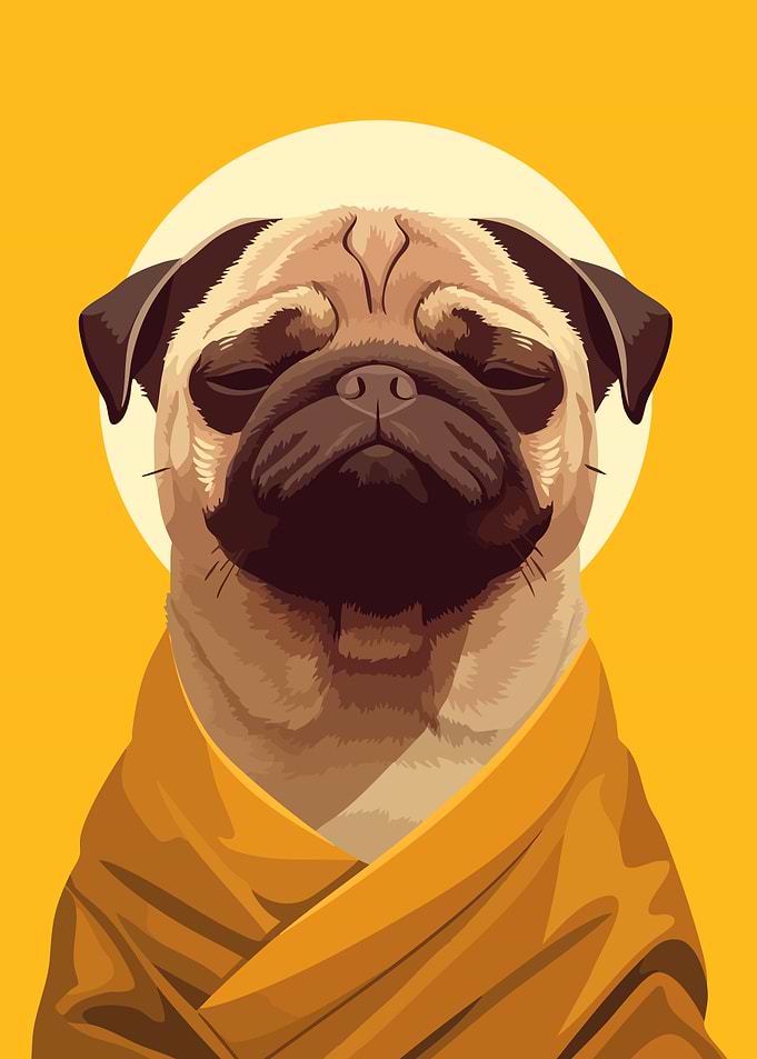 Zen Meditative Monk Pug Minimalist Art Illustration