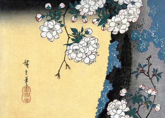 Cherry Blossom Branch