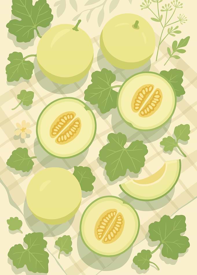 Honeydew Melon – A Stylized Tablescape