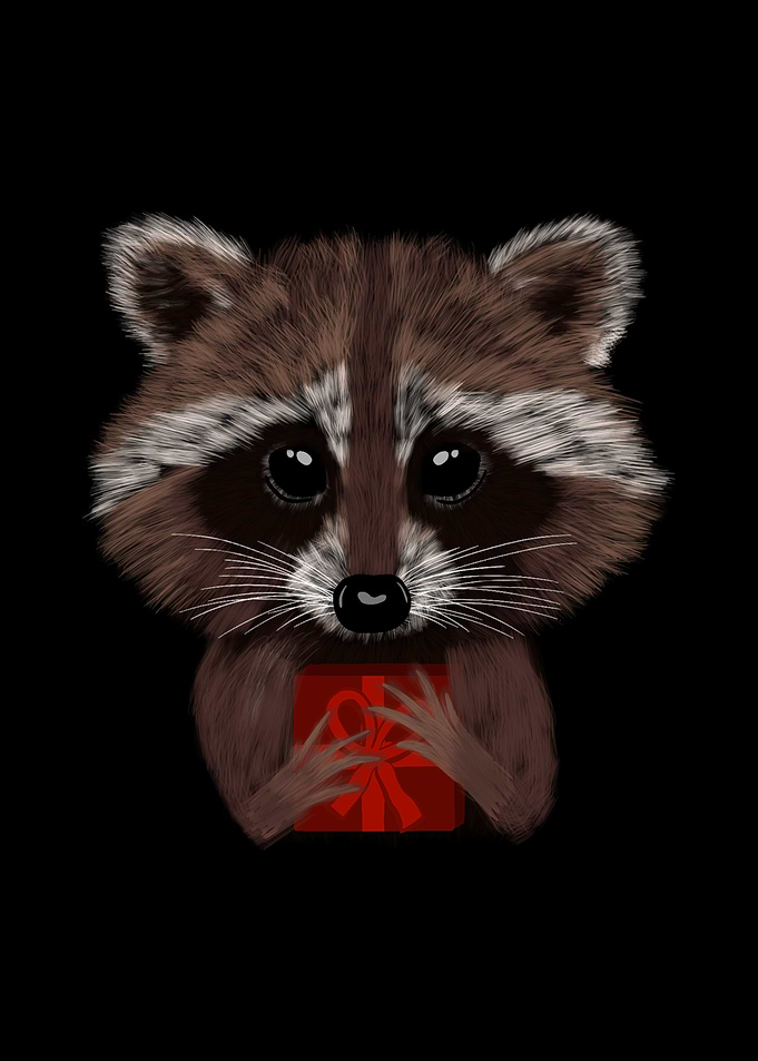 Raccoon with Gift - Christmas