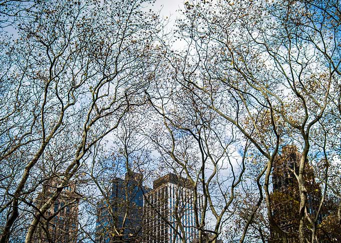 Skyline Tangle