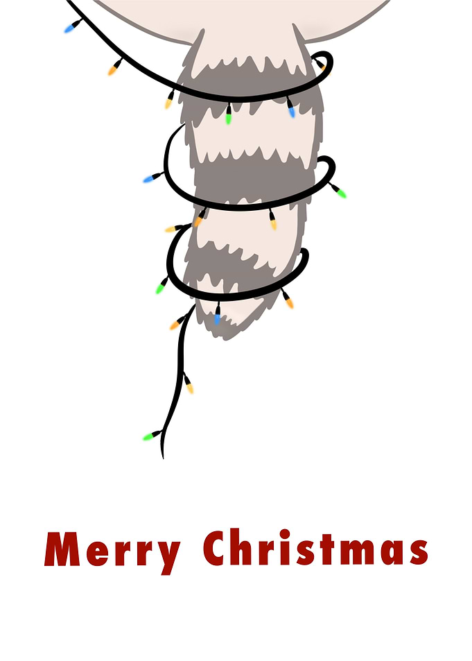 Raccoon Tail Christmas Lights