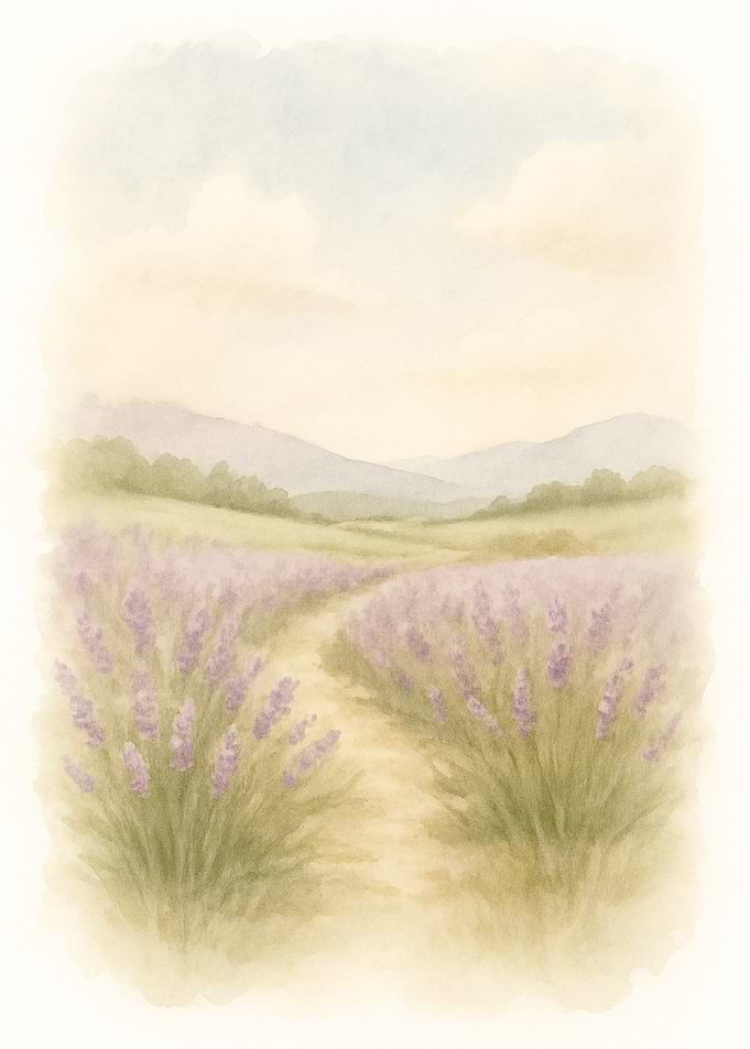 Lavender Field Watercolor