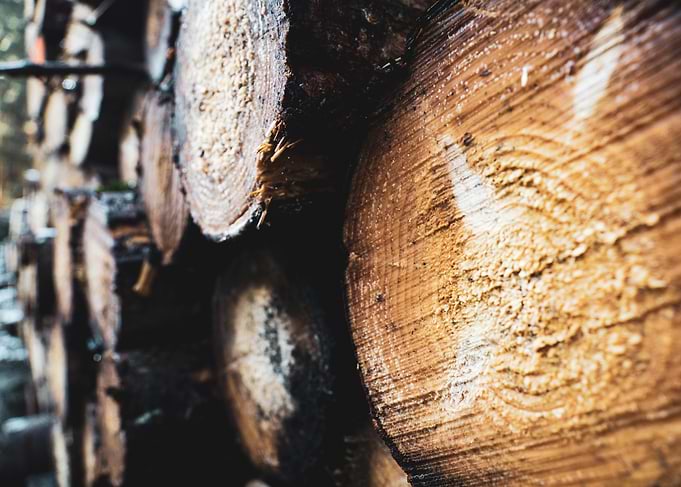 Stacked Wood Logs