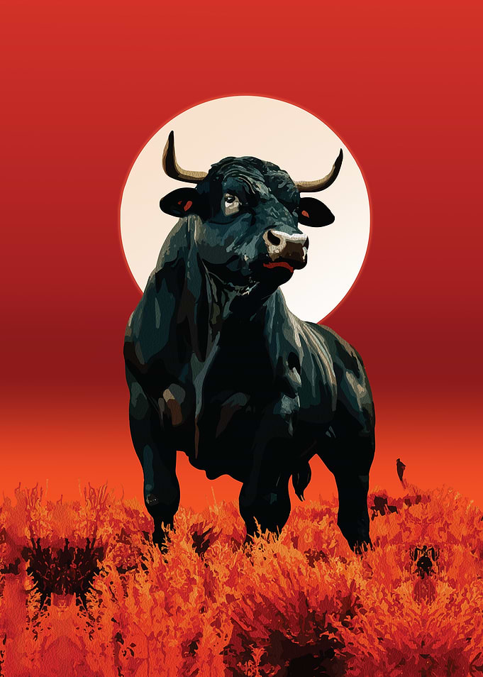 Black Bull Against Red Sunset