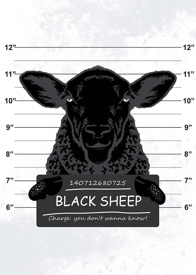 Black Sheep Mugshot