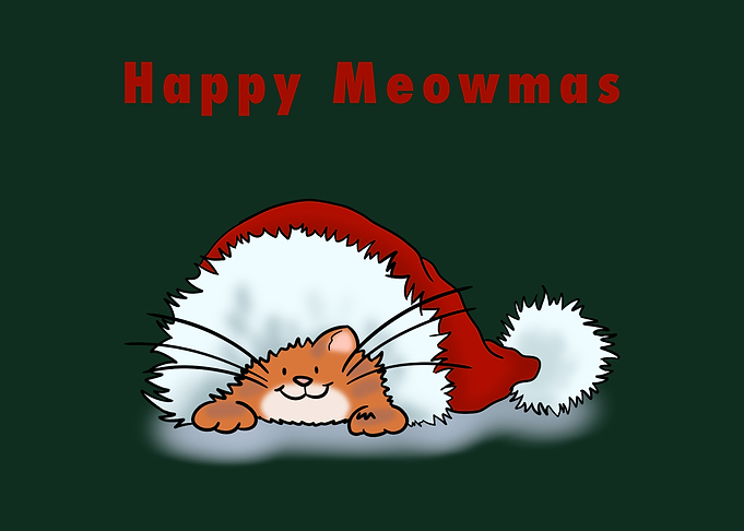 Cat in Santa Hat