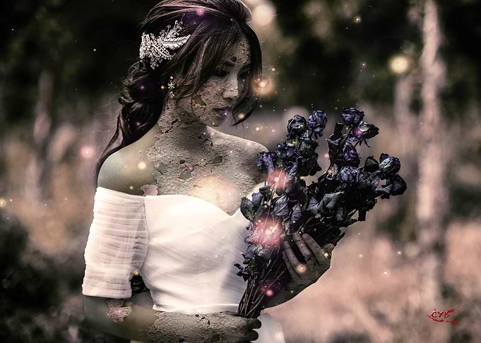 Midnight Blossoms