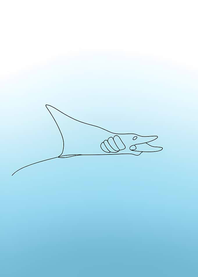 Minimalist Manta Ray Line Art