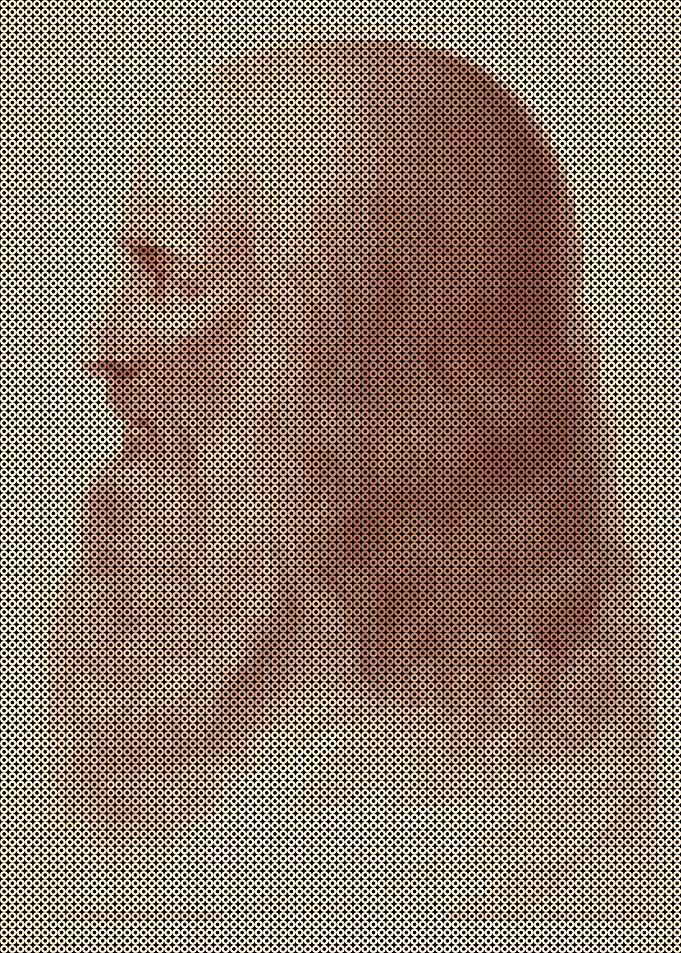 Portrait in Profile of Leonardo da Vinci