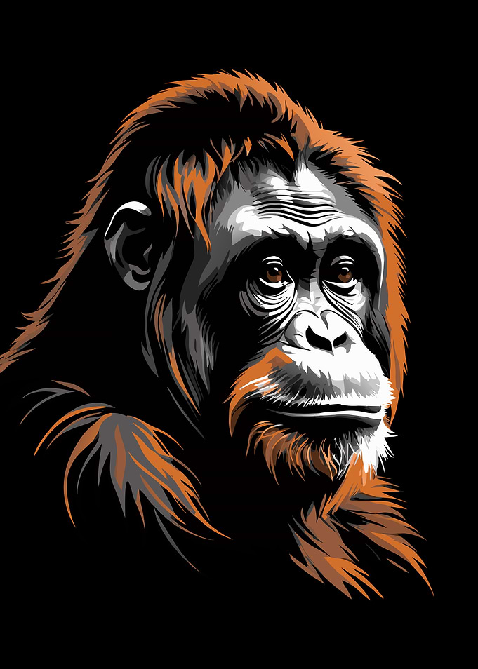 Orangutan Portrait