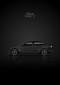 Tesla Model 3 Side View