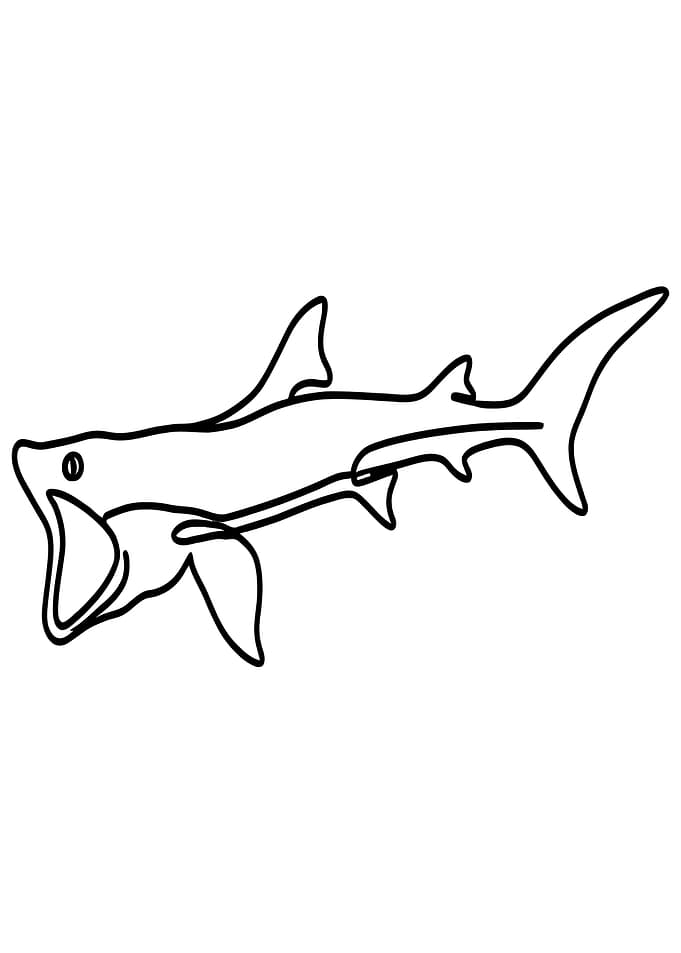 Basking Shark Line Art