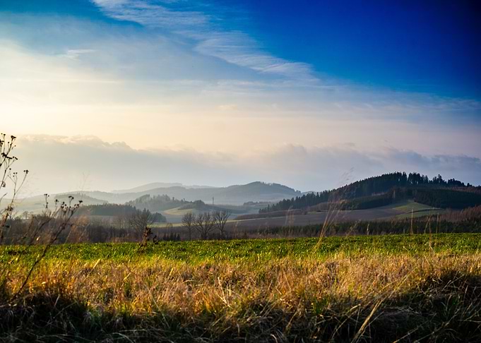 Rolling Hills Landscape
