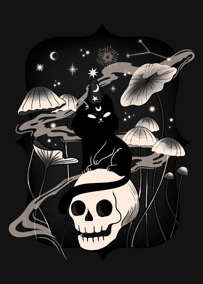 Black Cat on Skull
