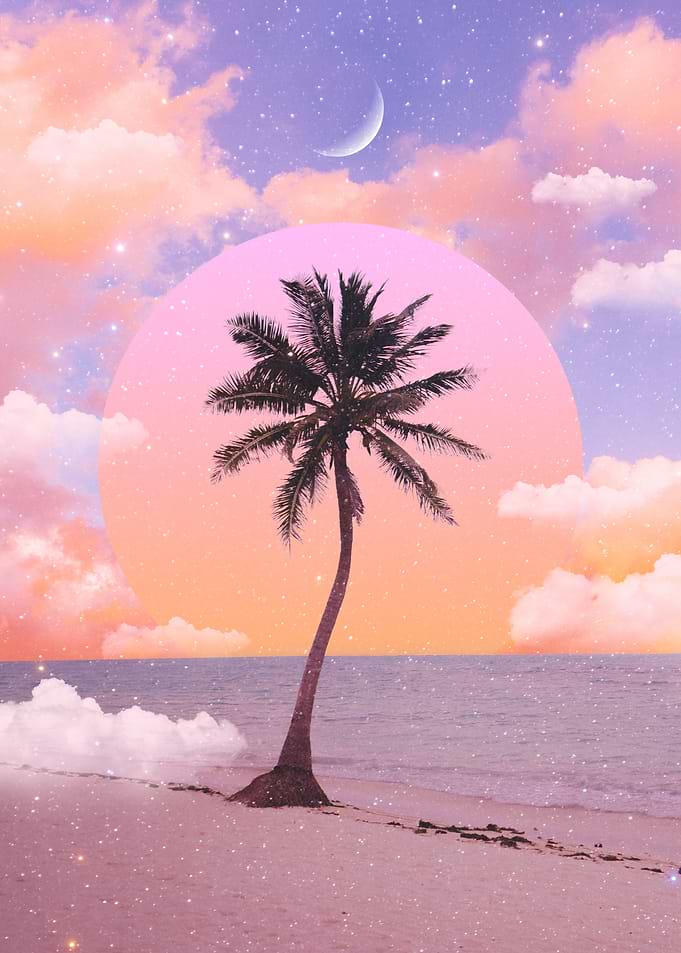 Palm Tree Sunset
