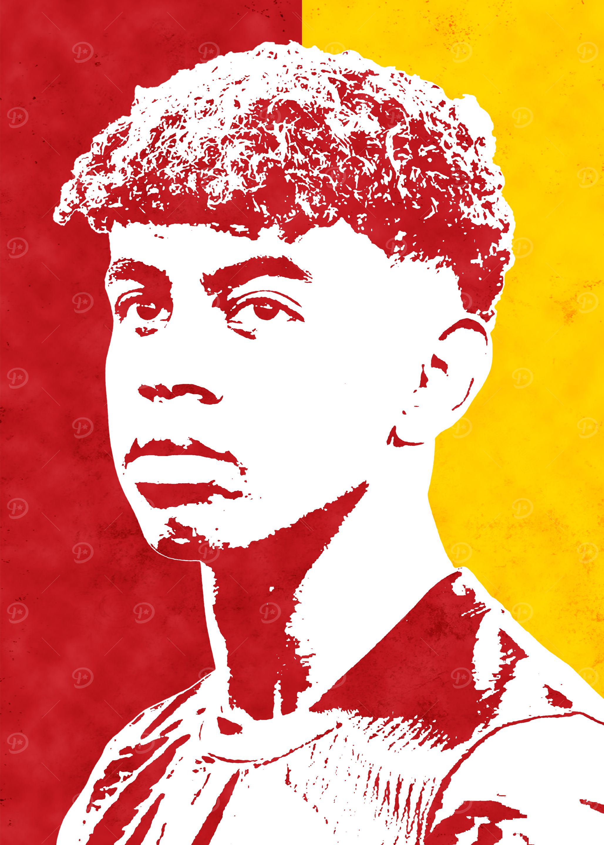 19 lamine pop art