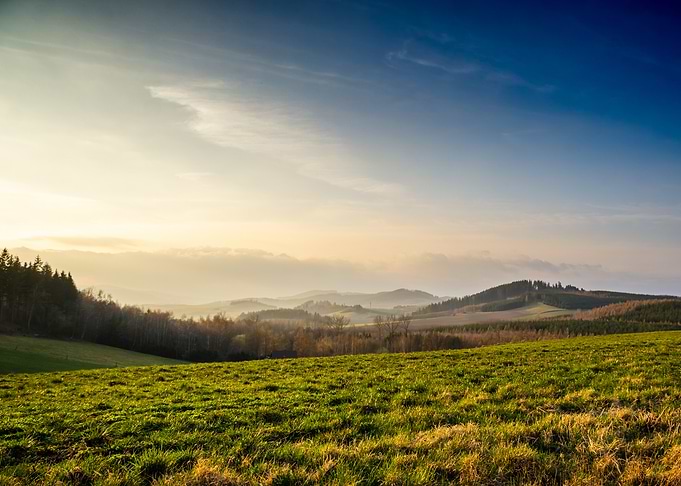 Rolling Hills Landscape