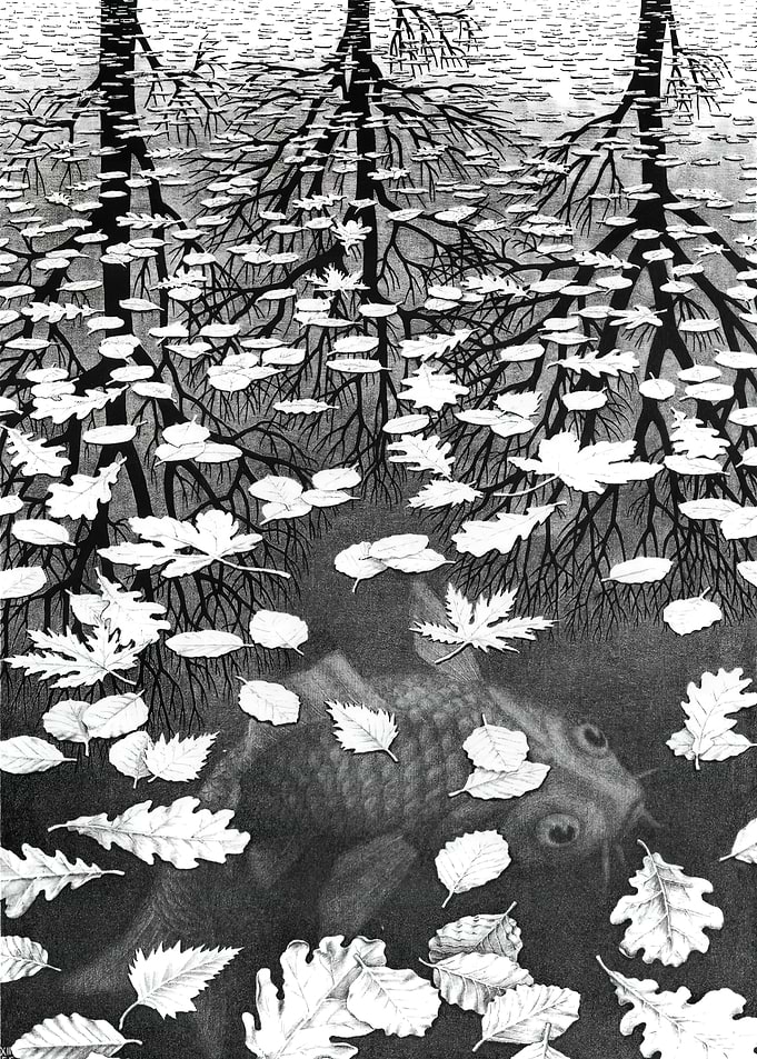 Hidden Fish in Autumn Leaves, m. c. escher artwork