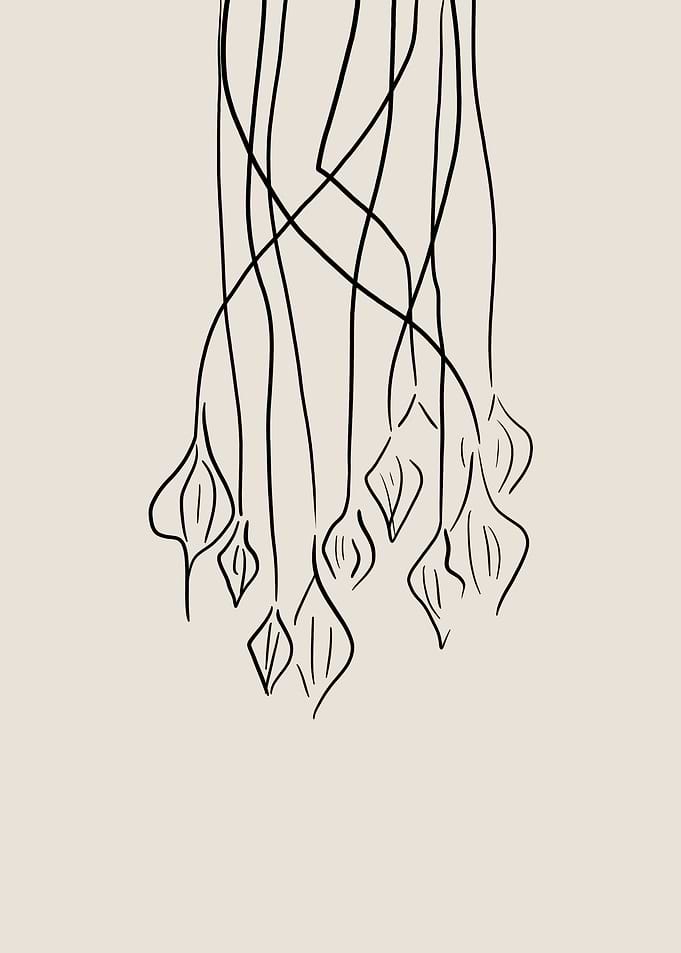 Lamp Line Art