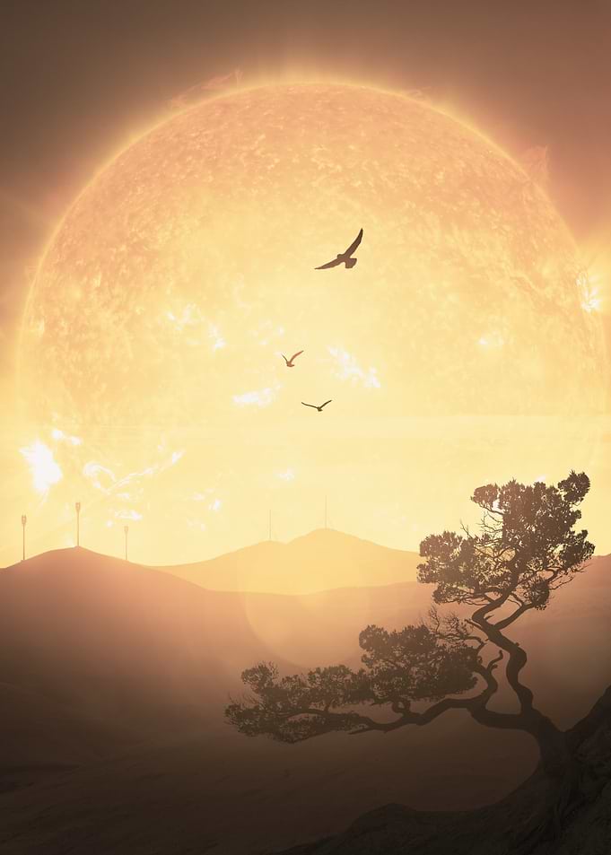 Scorched Earth
