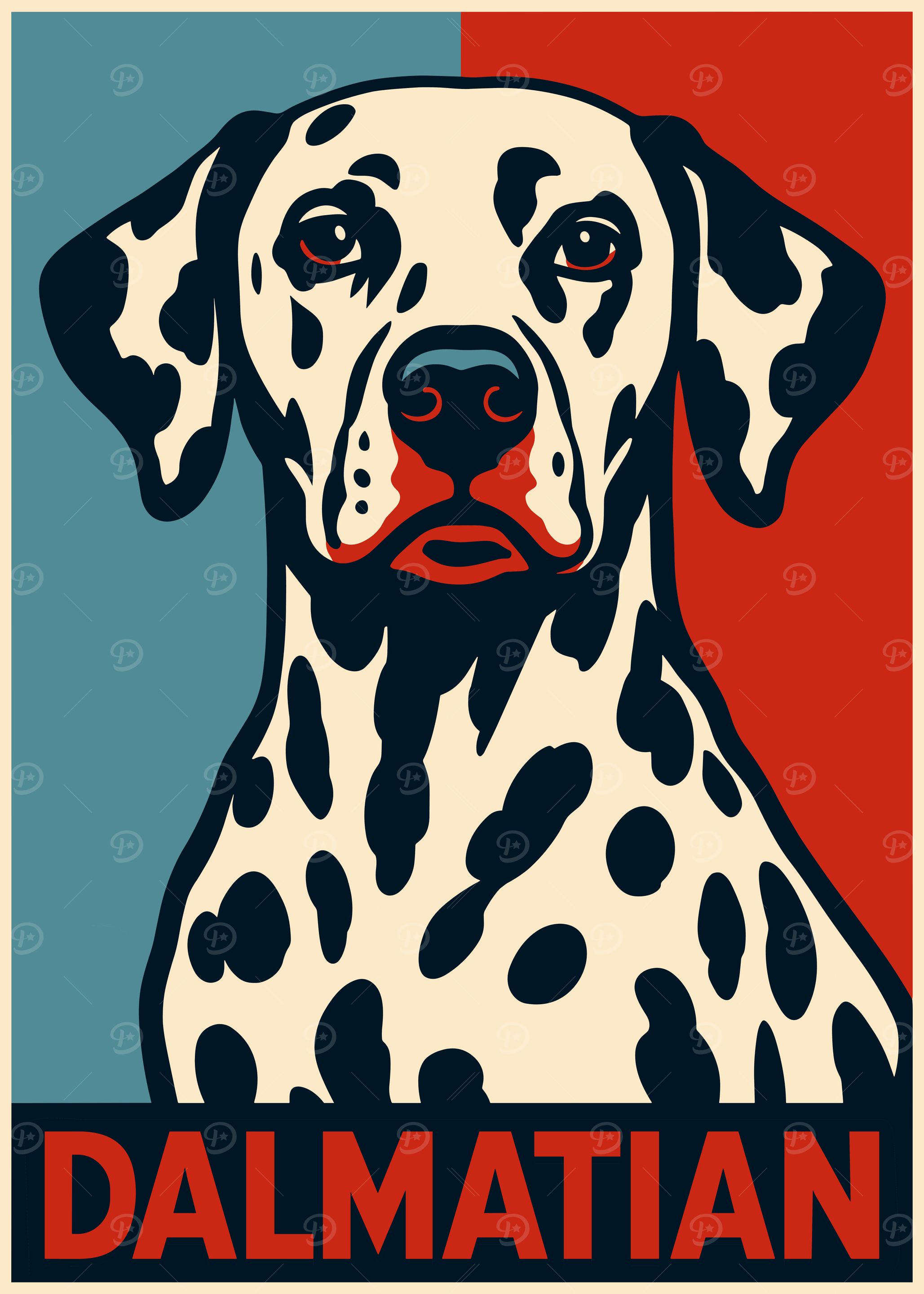 Dalmatian Dog Poster